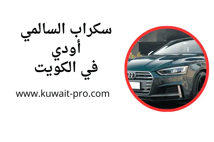 ورشة سكراب السالمي أودي