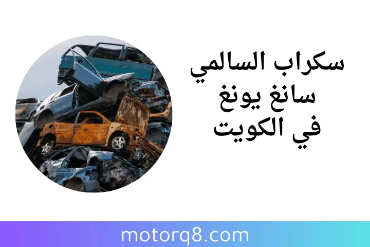 افضل سكراب السالمي سانغ يونغ